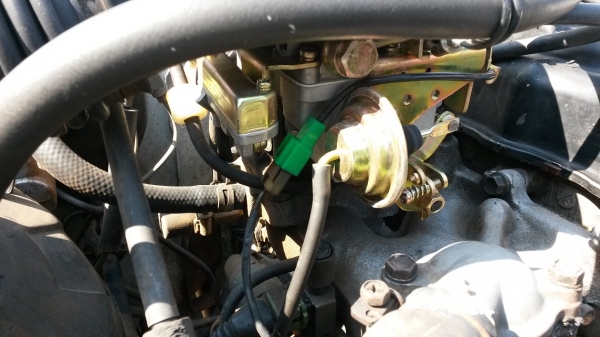 คารีเบียนตู้ปลา ปี90 คารีเบียนตู้ปลา ปี90