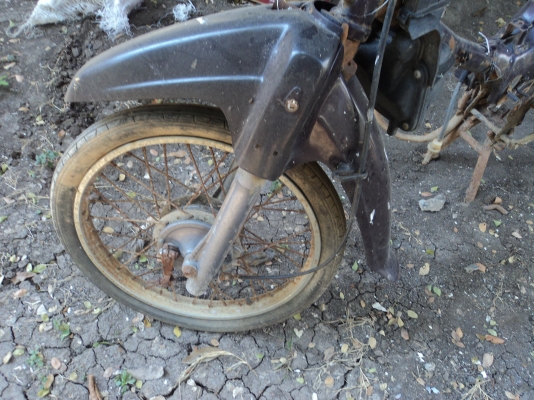 โครงดรีม  สนใจโทร.081-005-8785