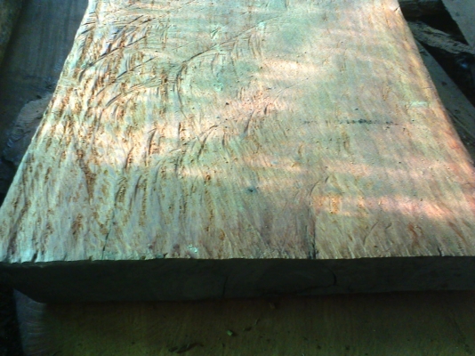 ไม้แดง+ไม้ประดู่