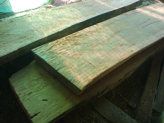 ไม้แดง+ไม้ประดู่