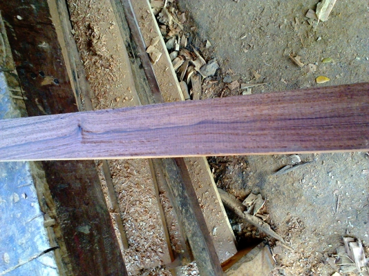 ไม้แดง+ไม้ประดู่