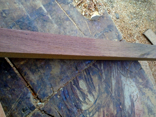 ไม้แดง+ไม้ประดู่