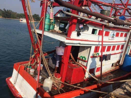 ขายเรือไดหมึกสภาพดี ขายเรือไดหมึกสภาพดี
