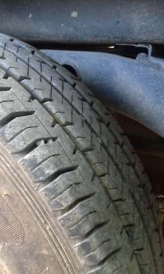 มังกรทอง ปี 90 แปลงเป็นหน้าหนู มังกรทอง ปี 90 แปลงเป็นหน้าหนู