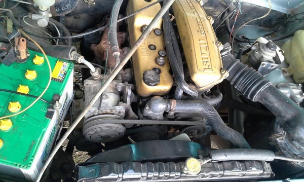 มังกรทอง ปี 90 แปลงเป็นหน้าหนู มังกรทอง ปี 90 แปลงเป็นหน้าหนู