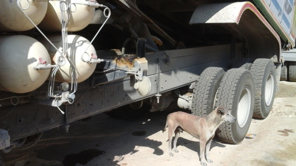 สิบล้อมือสอง,Isuzu FXZ300 ปี 53 แก๊ส CNG 6 ถัง แม่ลูก อู่,พงษ์ไพบูลย์ สิบล้อมือสอง,Isuzu FXZ300 ปี 53 แก๊ส CNG 6 ถัง แม่ลูก อู่,พงษ์ไพบูลย์