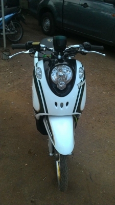 ฟีโน่ปี55ไมล์แยก