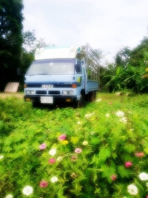 ขาย6ล้อ ISUZU รุ่นNPR75Lเครื่อง100แรง กระบะยาว 4.20เมตรสภาพสวยขาย290000