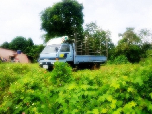 ขาย6ล้อ ISUZU รุ่นNPR75Lเครื่อง100แรง กระบะยาว 4.20เมตรสภาพสวยขาย290000 ขาย6ล้อ ISUZU รุ่นNPR75Lเครื่อง100แรง กระบะยาว 4.20เมตรสภาพสวยขาย290000