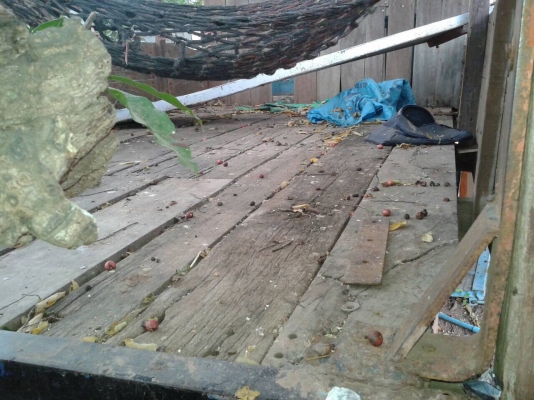 ขายรถบรรทุก 4 ล้อ ไม่มีเล่มทะเบียน ISUZU 74 แรงม้า สภาพใช้งานได้ สนใจต่อรองราคาได้ครับ