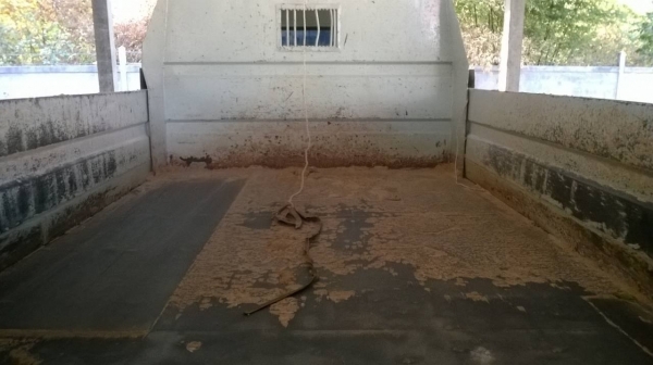 ขายรถ 6 ล้อดั้ม HINO FC สภาพสวยพร้อมใช้ คัสซีสวยตลอดเส้น เครื่อง WO4D 120 แรงม้า ทะเบียนเต็มพร้อมโอน ราคาต่อรองได้ครับ