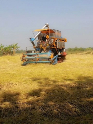 ขายรถเกี่ยวข้าว ปานเจริญการช่าง