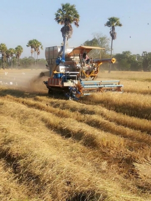 ขายรถเกี่ยวข้าว ปานเจริญการช่าง