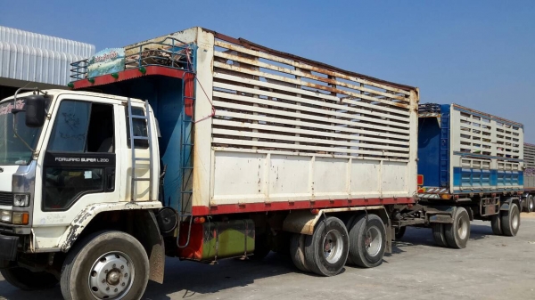 ขายรถ 18 ล้อดั้มเกษตร Isuzu 320 ขายรถ 18 ล้อดั้มเกษตร Isuzu 320