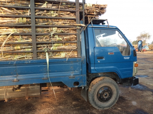 ขาย  315,000บาท BU-91