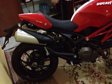 ขาย Monster796 Corse Stripe