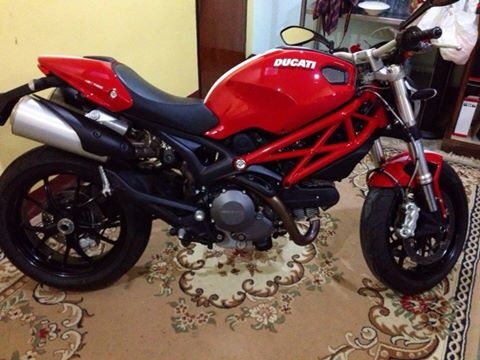 ขาย Monster796 Corse Stripe