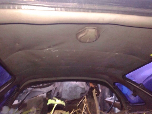 หลังคาเเครี่บอยมิตซูไททั่นตัวเเรกสภาพสวยพร้อมใช้