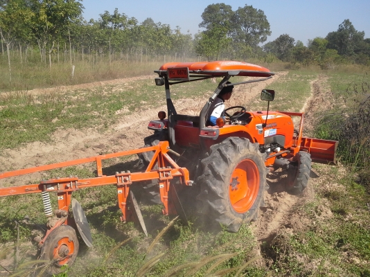 ขายผานบุกเบิกตราช้าง