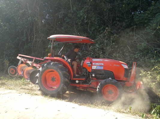 ขายผานบุกเบิกตราช้าง