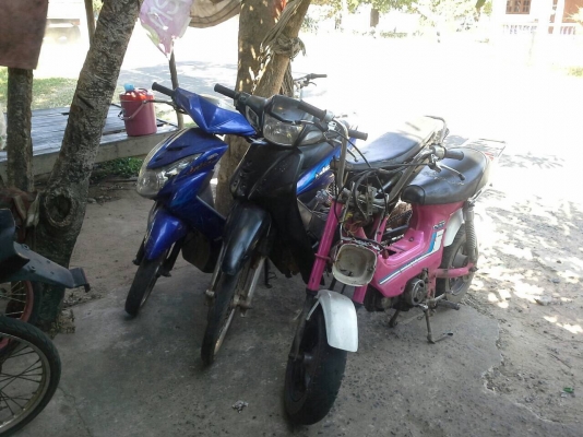 ขายฮอนด้าเวฟz110 ขายฮอนด้าเวฟz110