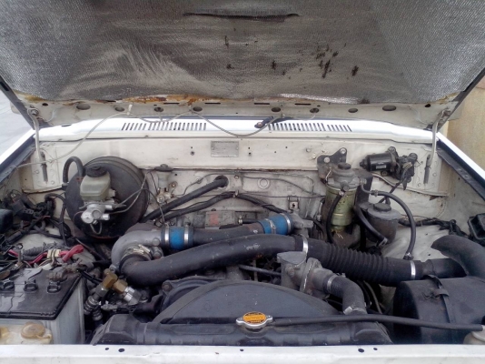 ขายLN65คานแข็ง ไม่เคยลุย ถูกๆ ขายLN65คานแข็ง ไม่เคยลุย ถูกๆ