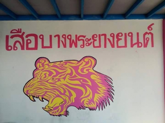 ยางใหม่ 195/60R15 ชุดละ 5000 ยางใหม่ 195/60R15 ชุดละ 5000