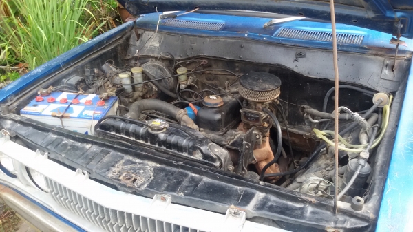 ขายด่วน ดัสสันช้างเหยียบห้าขอ ขายด่วน ดัสสันช้างเหยียบห้าขอ