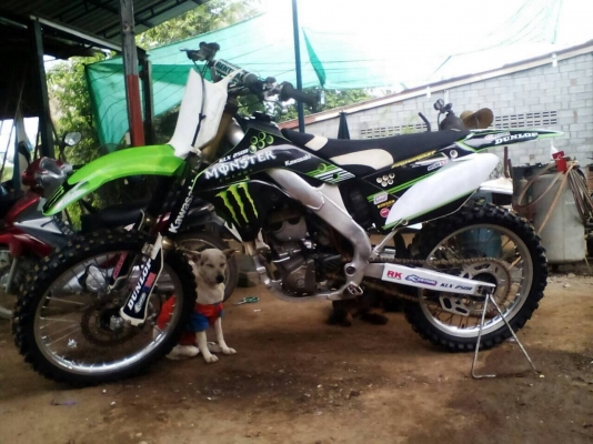 ขายด่วนKXF 250 ปี08