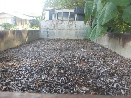 รถบรรทุก 6 ล้อ HINO