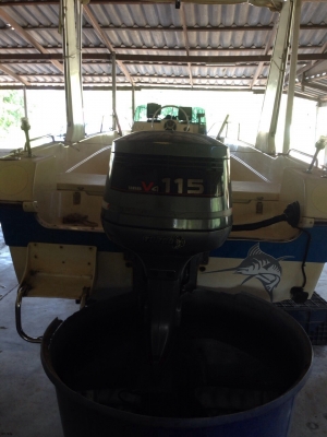 ขายเรือตกปลา