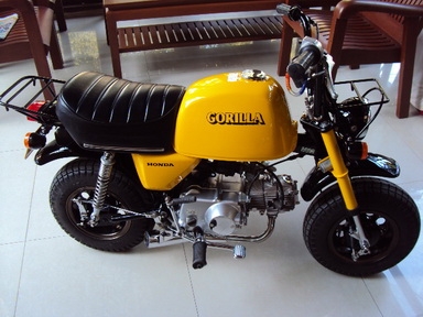 ขาย Gorilla รุ่นปี 1979 หาอยู่ไม่ผิดหวังครับ