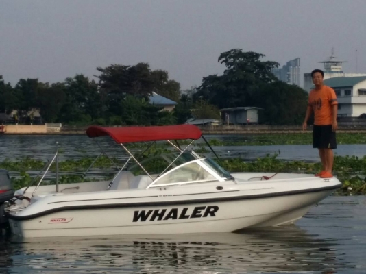 เรือ boston whalwer 180ventura