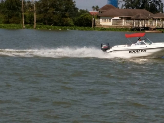 เรือ boston whalwer 180ventura