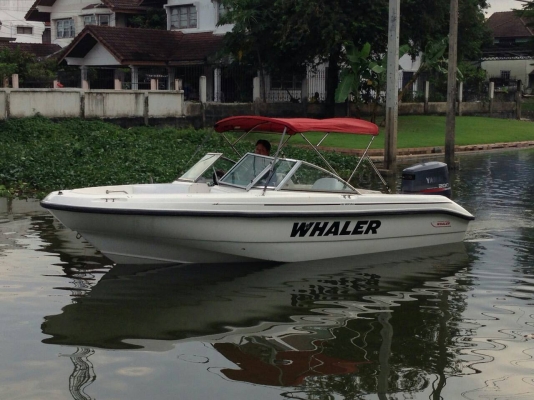 เรือ boston whalwer 180ventura