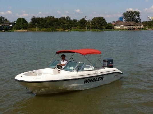เรือ boston whalwer 180ventura