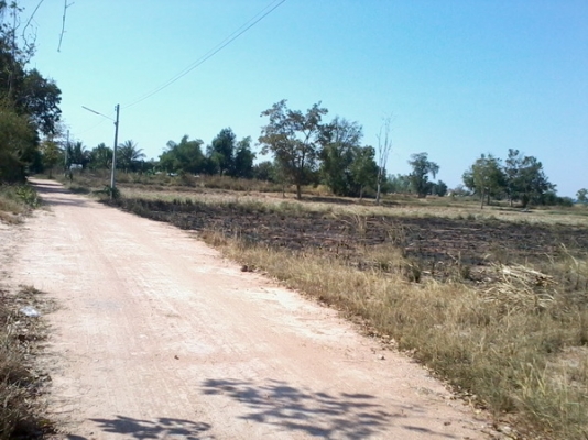 ขายที่ดินทำเลดีติดหมู่บ้าน ติดทางสาธารณะ 8 ไร่ ราคา 220,000บาท/ไร่  อ. สีคิ้ว