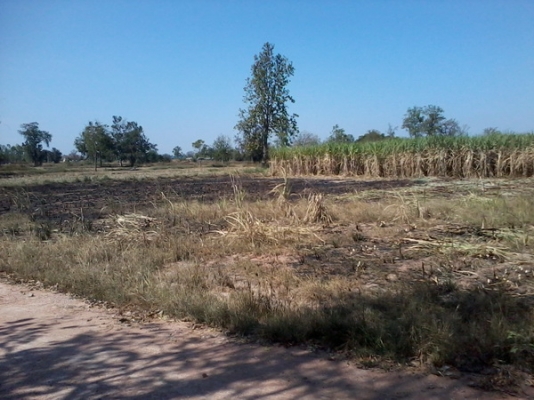 ขายที่ดินทำเลดีติดหมู่บ้าน ติดทางสาธารณะ 8 ไร่ ราคา 220,000บาท/ไร่  อ. สีคิ้ว