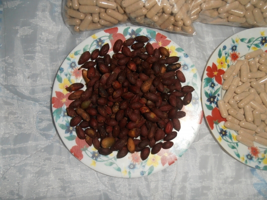 ว่านขันหมากเศรษฐี ต้านมะเร็ง เพิ่มสมรรถภาพทางเพศ