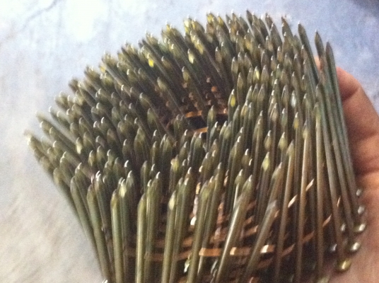 ตะปูใช้กับปืนยิงตะปูลม ไฟฟ้า แบบเป็นม้วนตามภาพ ยี่ห้อ LION