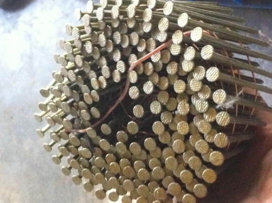 ตะปูใช้กับปืนยิงตะปูลม ไฟฟ้า แบบเป็นม้วนตามภาพ ยี่ห้อ LION