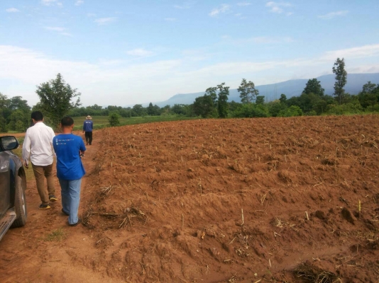 ที่ดินสวยเหมาะทำการเกษตร