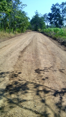 ที่ดินสวยเหมาะทำการเกษตร