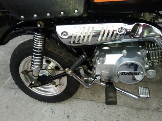 ขายMini stalionปี55สวยสวย