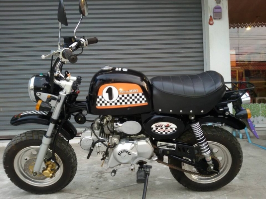 ขายMini stalionปี55สวยสวย