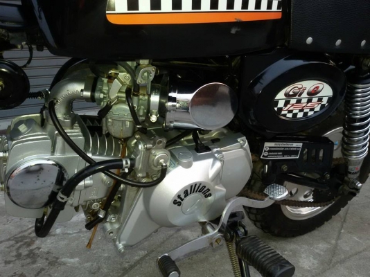 ขายMini stalionปี55สวยสวย