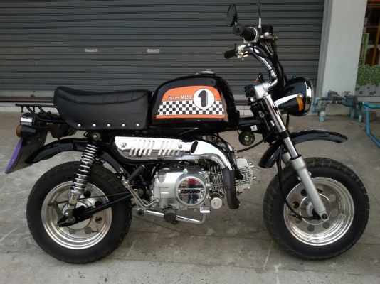 ขายMini stalionปี55สวยสวย