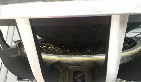 12" ดอกเดียว