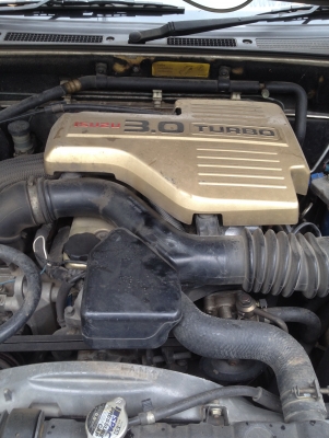 ขายดราก้อนอายปี2000 ขายดราก้อนอายปี2000