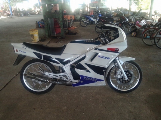 TZR มีทะเบียนพร้อม